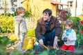 Two little boys and father planting seedlings in vegetable garden Royalty Free Stock Photo