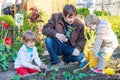 Two little boys and father planting seedlings in vegetable garden Royalty Free Stock Photo