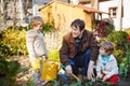 Two little boys and father planting seeds and strawberry and tomato seedlings in vegetable garden, outdoors. Happy Royalty Free Stock Photo