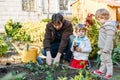 Two little boys and father planting seeds and strawberry and tomato seedlings in vegetable garden, outdoors. Happy Royalty Free Stock Photo