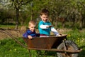 Two little boys in the garden. Royalty Free Stock Photo