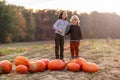 Two little boys having fun in a pumpkin patch