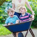 Two little boys having fun in a wheelbarrow pushing by mother Royalty Free Stock Photo