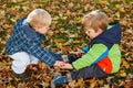 two little boys playing with maple leaves outdoors. Happy children siblings in autumn park. Toddlers twins wears trendy Royalty Free Stock Photo
