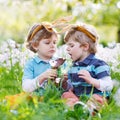 Two little boys wearing Easter bunny ears and eating chocolate Royalty Free Stock Photo