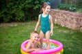 Two little brother and sister playing and splashing in pool on hot summer day. Children swimming in kid pool. Two cheerful cute Royalty Free Stock Photo