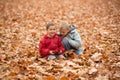 Little blonde and brunette brothers play on phone outdoor, in the middle of a dry leaf-litter covered field. Royalty Free Stock Photo