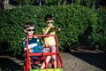 Two little brother toddlers playing with toy car in summer garden