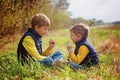 Two little brothers play in rock-paper-scissors sitting on grass Royalty Free Stock Photo