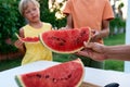 Two little children, boy brothers, eating watermelon in the park, summertime Royalty Free Stock Photo