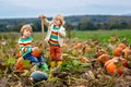 Two Little Children Enjoying Harvest Festival Celebration at Pumpkin Patch. Kids Preschool Boys Picking and Carving Royalty Free Stock Photo