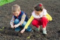 Two little children planting seeds in the field Royalty Free Stock Photo