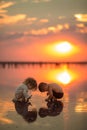 Two little children playing on the beach during sunset. Reflection in water Royalty Free Stock Photo