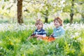 Two little children wearing Easter bunny ears and eating chocolate Royalty Free Stock Photo