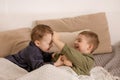 Two little and cute caucasian boys playing together on the bed at home. Interior and clothes in natural earth colors