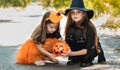 Two little cute girl in witch costume holding jack-o-lantern pumpkin bucket. Kids trick or treating in Halloween holiday Royalty Free Stock Photo