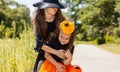 Two little cute girl in witch costume holding jack-o-lantern pumpkin bucket. Kids trick or treating in Halloween holiday Royalty Free Stock Photo