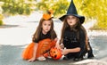 Two little cute girl in witch costume holding jack-o-lantern pumpkin bucket. Kids trick or treating in Halloween holiday Royalty Free Stock Photo