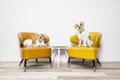 Two little dogs sitting on armchairs