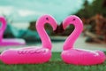 Two little flamingos kiss on the green grass in front of the pool. Flamingos in the form of a heart. Coasters for the pool. The