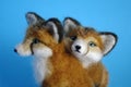 Two Little Fox Kits Royalty Free Stock Photo