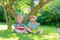 Two little friends, kid boys having fun on raspberry farm in summer Royalty Free Stock Photo