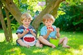 Two little friends, kid boys having fun on raspberry farm in summer Royalty Free Stock Photo