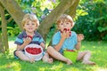 Two little friends, kid boys having fun on raspberry farm in summer Royalty Free Stock Photo