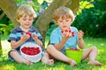 Two little friends, kid boys having fun on raspberry farm in summer Royalty Free Stock Photo