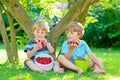 Two little friends, kid boys having fun on raspberry farm in summer Royalty Free Stock Photo