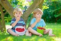 Two little friends, kid boys having fun on raspberry farm in summer Royalty Free Stock Photo