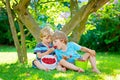 Two little friends, kid boys having fun on raspberry farm in summer Royalty Free Stock Photo