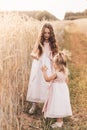 Two little girls collect spikelets in a wheat field Royalty Free Stock Photo