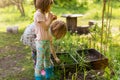 Little girls gardening in urban community garden