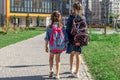 Two little girls go to school, holding hands, back view Royalty Free Stock Photo