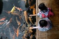 Two little girls having fun feeding koi fish Royalty Free Stock Photo