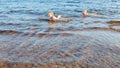 Two little girls in shallow water