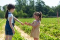 Two little girls picking strawberries in the field on a sunny summer day Royalty Free Stock Photo
