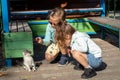 Two little girls are playing with a little kitten on the playground Royalty Free Stock Photo