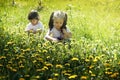 Two little girls playing in the meadow with dandelions Royalty Free Stock Photo