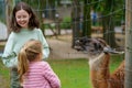 Two little girls, preschool and school sisters feeding fluffy furry alpacas lama. Happy excited children feeds guanaco