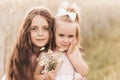 Two little girls sisters hug and collect flowers in the summer Royalty Free Stock Photo