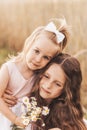 Two little girls sisters hug and collect flowers in the summer Royalty Free Stock Photo