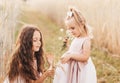 Two little girls sisters hug and collect flowers in the summer Royalty Free Stock Photo