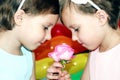 Two little girls twins in birthday with flower rose on the background of bright colored balls close-up