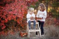 Two little girls walk outdoors in the Park during the Golden autumn