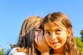 Two little girls whispering secrets Royalty Free Stock Photo