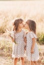 Two little happy identical twin girls playing together in nature in summer. Girls friendship and youth concept. Active children`s