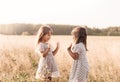 Two little happy identical twin girls playing together in nature in summer. Girls friendship and youth concept. Active children`s