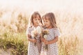 Two little happy identical twin girls playing together in nature in summer. Girls friendship and youth concept. Active children`s